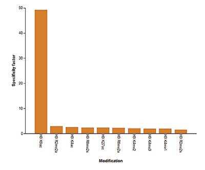 Protein Array: Histone H3 [ac Lys9, ac Lys14] Antibody [NBP2-54617]